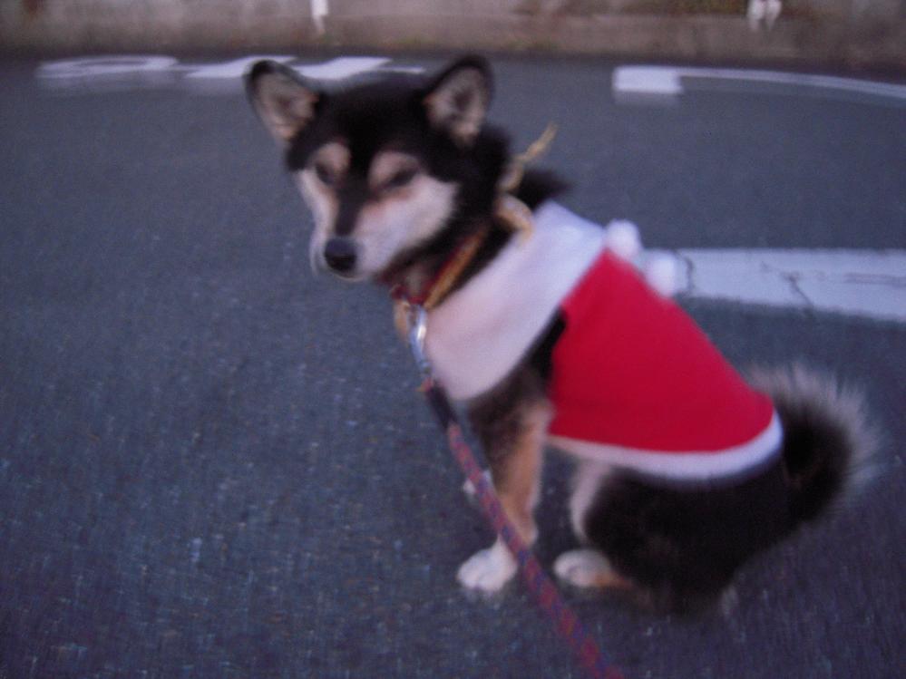 祖父江銀杏 030.jpg